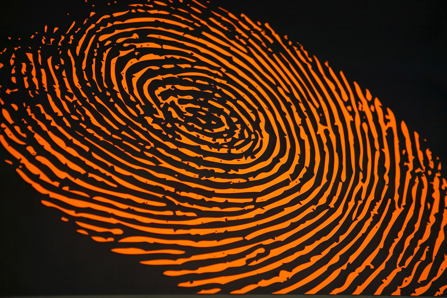 Fingerprint